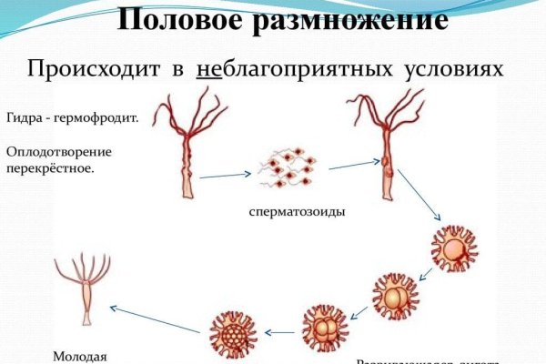 Ссылка на кракен лукойл