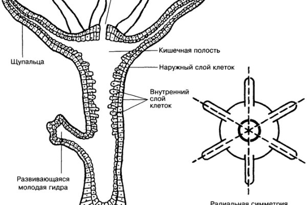 Кракен вход ссылка