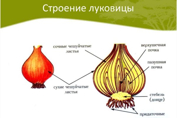 Магазин кракен даркнет сайт